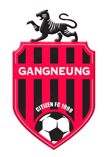 Gangneung Citizen