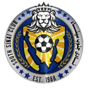 সাউথ সিনাই