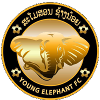 Young Elephants