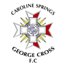 ক্যারোলাইন স্প্রিংস জর্জ ক্রস
