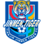 Tianjin Jinmen Tiger U15