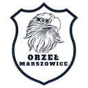 অর্জেল মার্শোভিচে