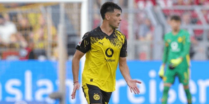 विशेषज्ञ: चेल्सी को जल्दी एनसेल्मिनो को वापस बुलाने की सलाह नहीं दी जाती, उन्हें डॉर्टमुंड में धैर्यपूर्वक विकसित होने दें