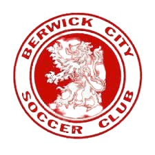 বারউইক সিটি