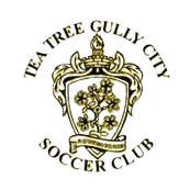 مدينة تي تري غولي